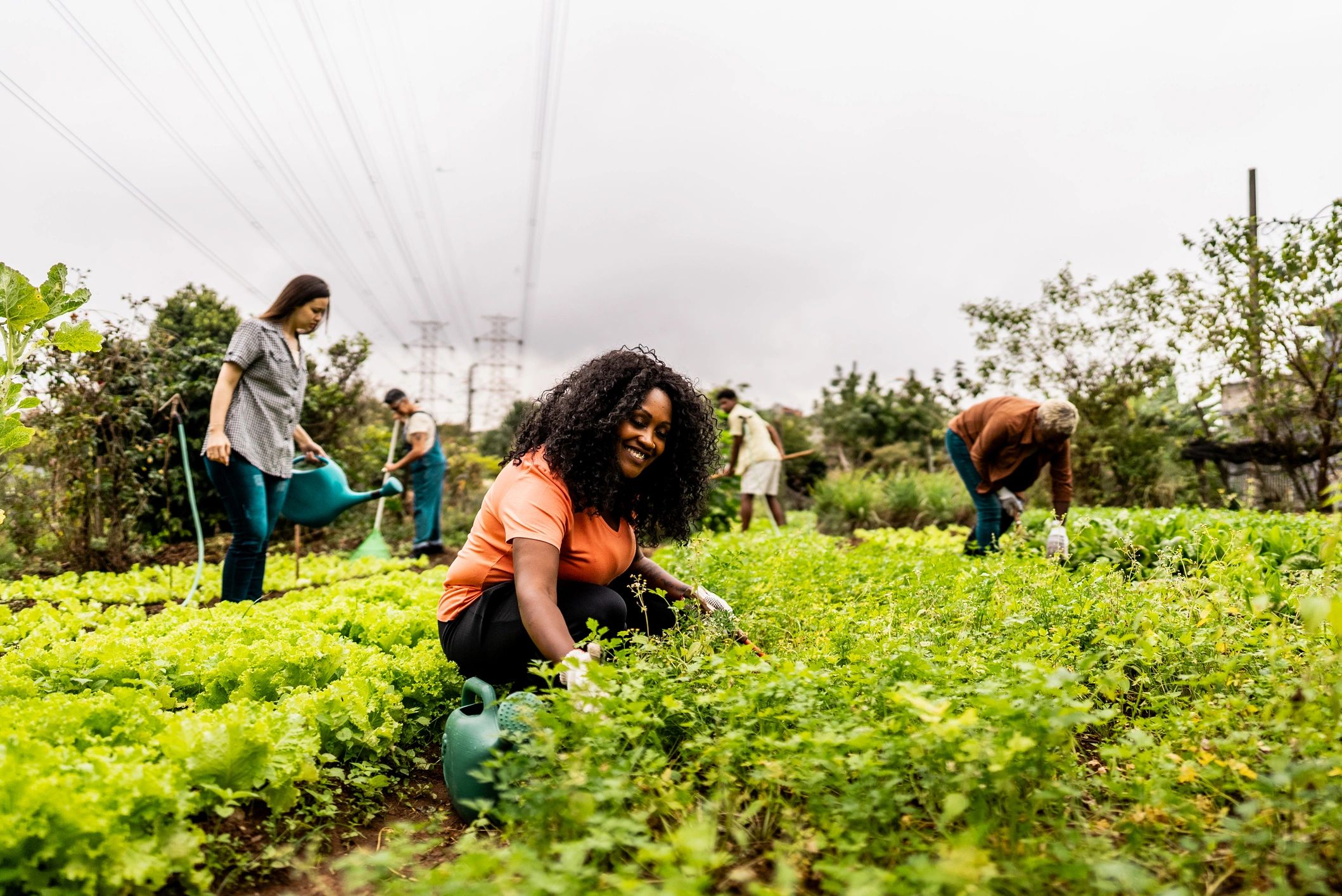 Garden club member tending plants in a community garden